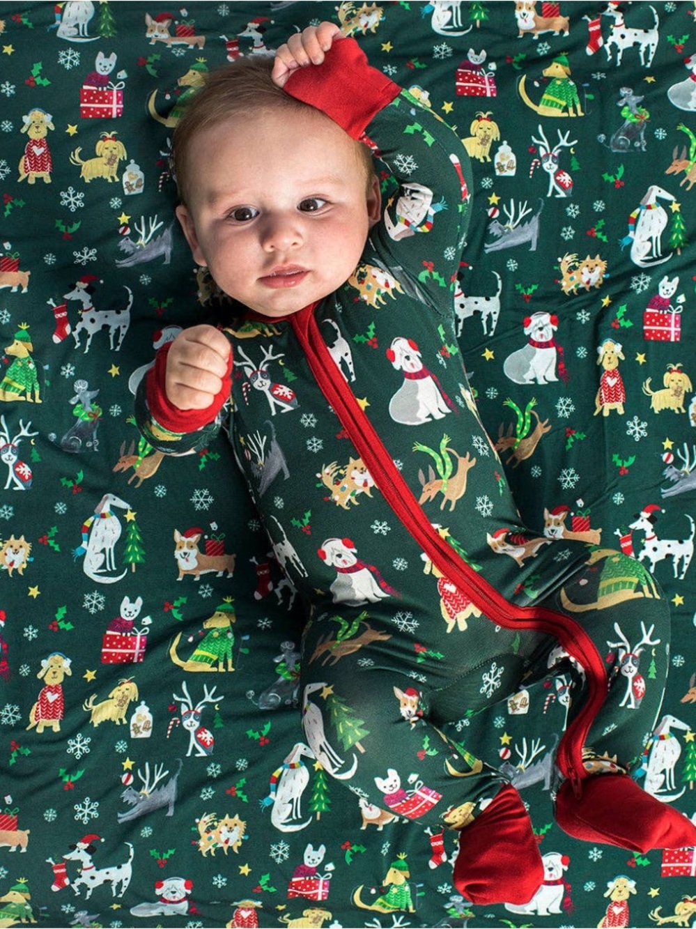 Little Sleepies 2T Zippy - Holiday Hounds